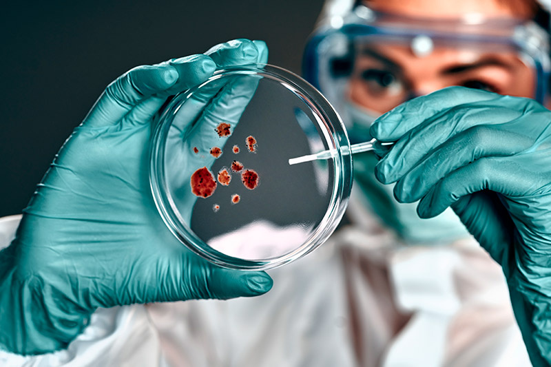    Shutterstock/FOTODOM