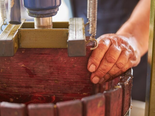    Фото: 123RF/svitlanahulko