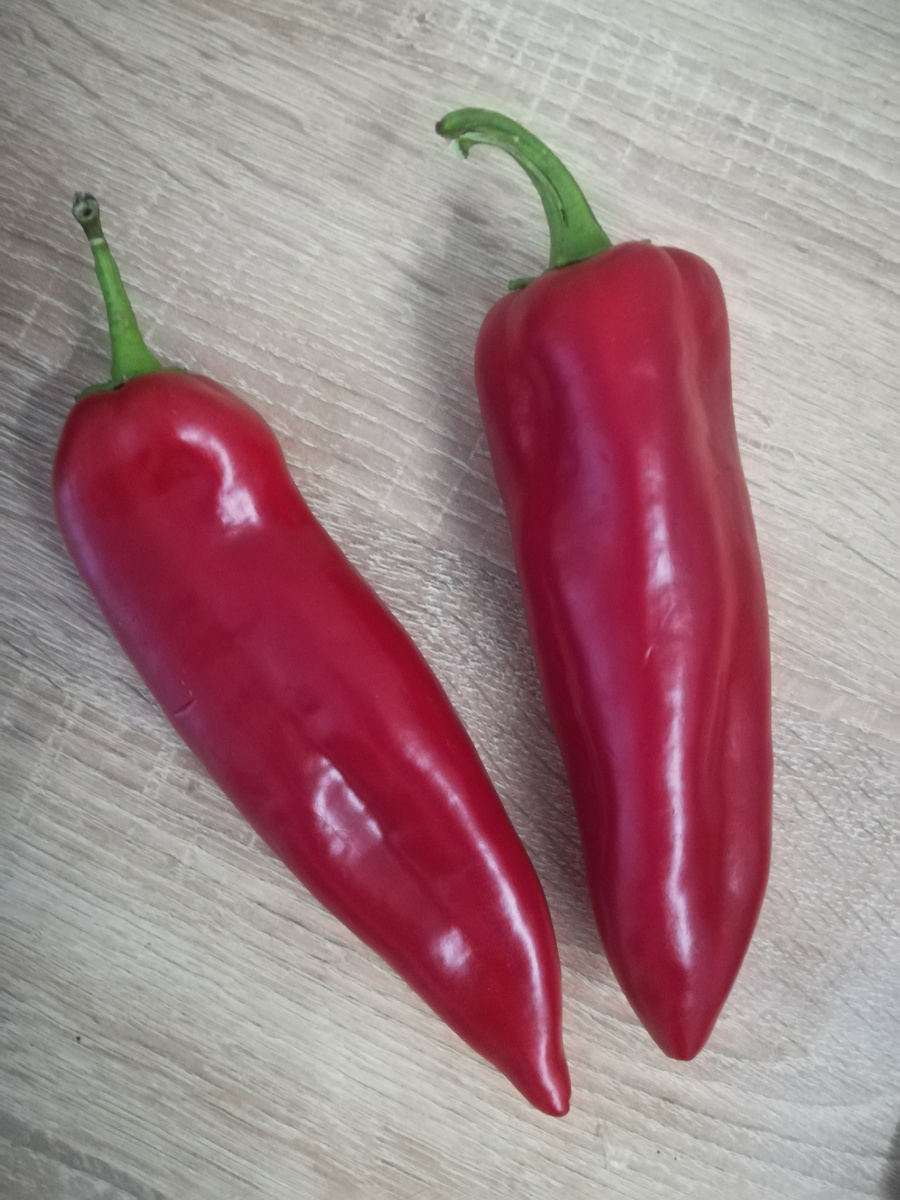 Перец Капия красный