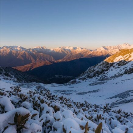    Фото: t.me/rosakhutoralerts