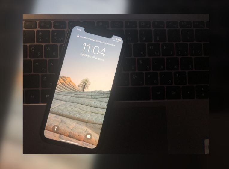    Фото: Мойка78/Вероника Смирнова