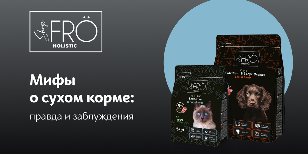 Мифы о сухом корме: правда и заблуждения