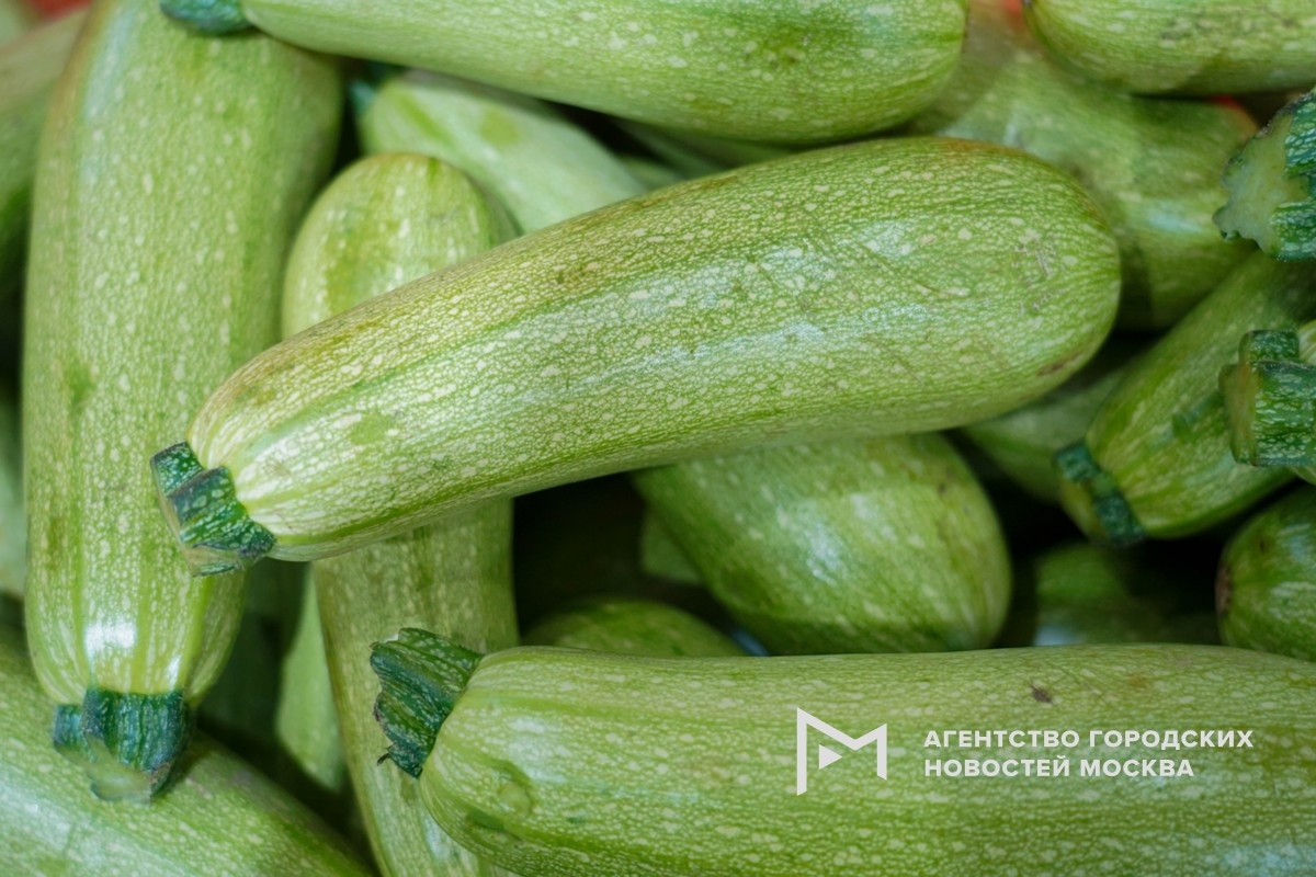 Фотограф: Александр Авилов