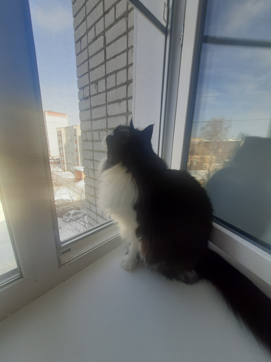 Пахнет весной