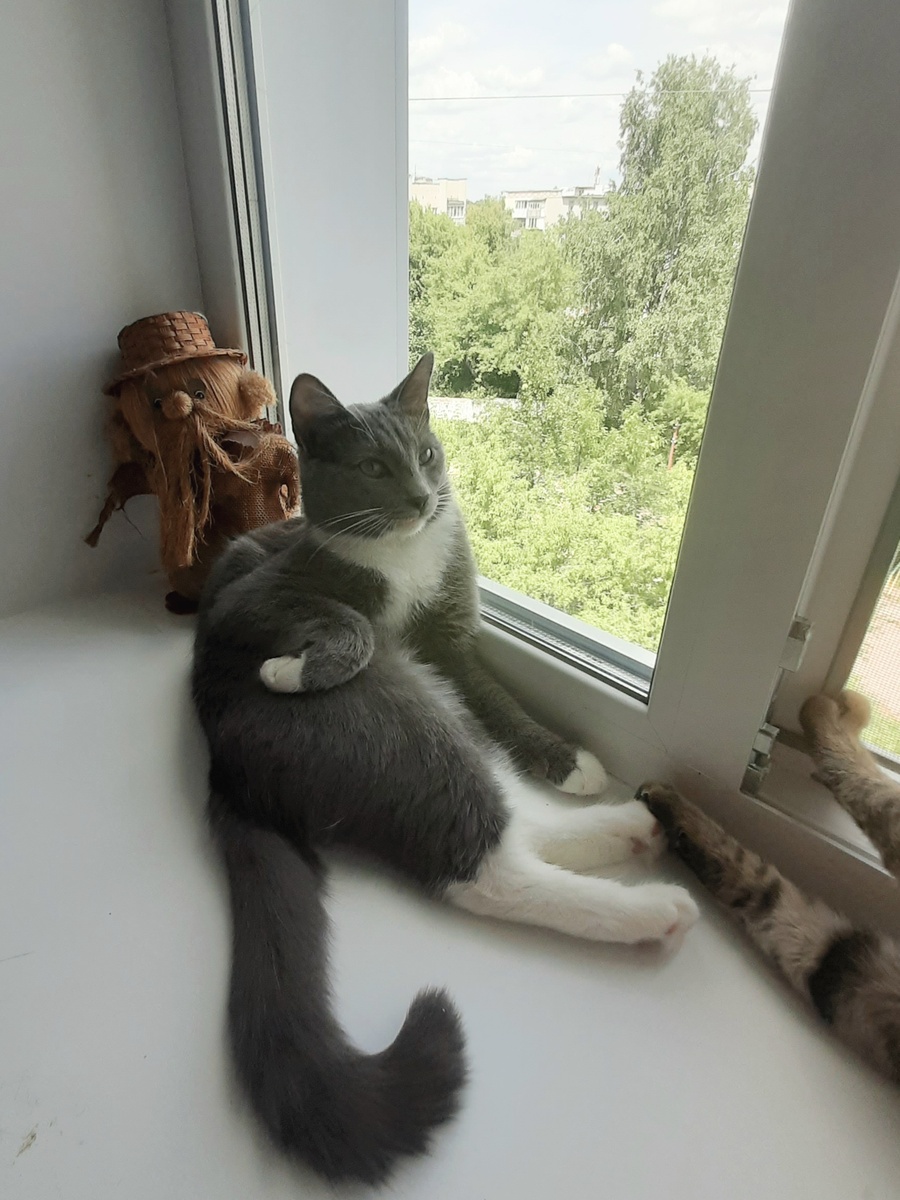 Жан-Батист. Можно и на подоконнике