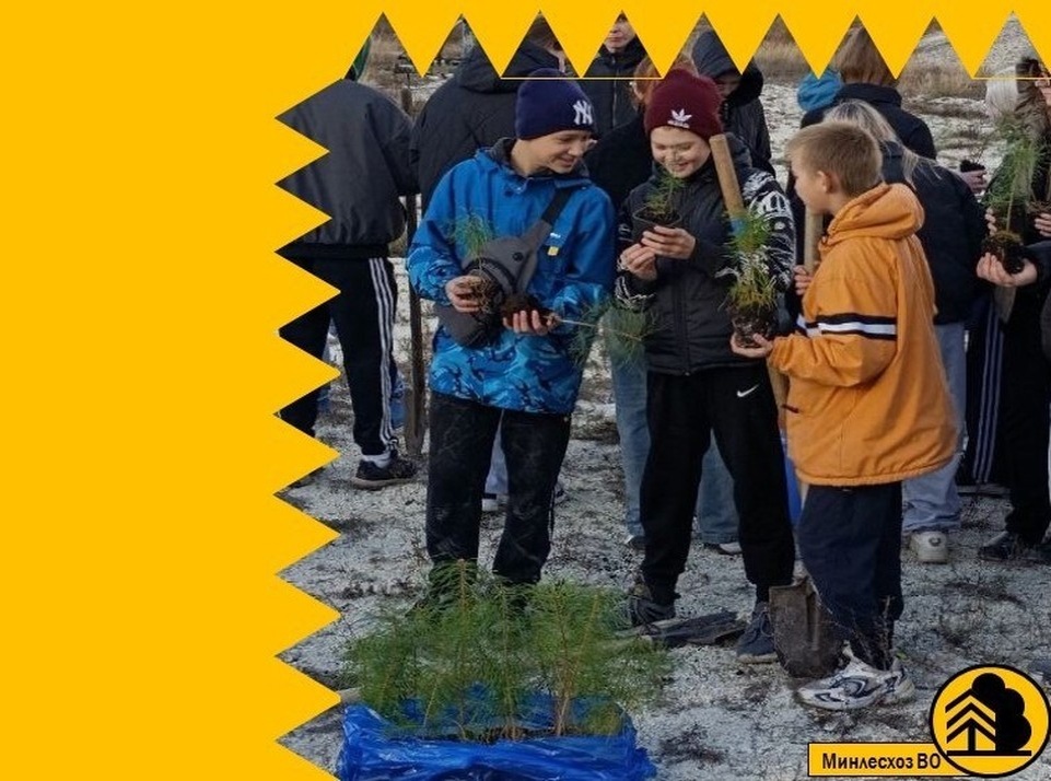    Фото Минлесхоза Воронежской области