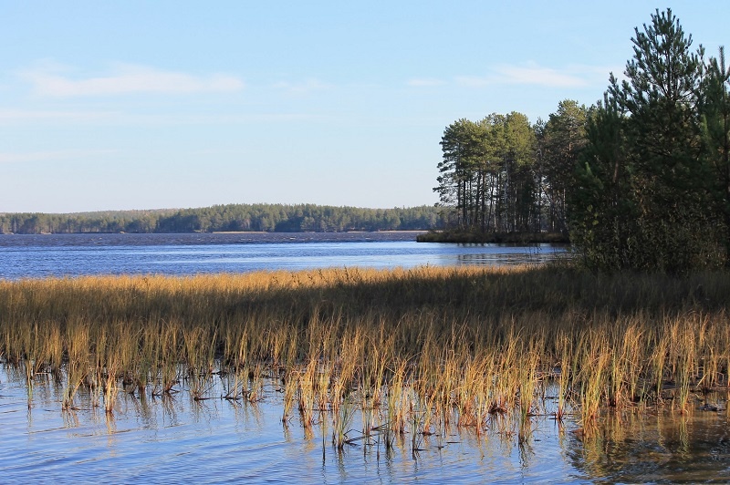 Озеро Нюхти. Фото: Дана Турсунова / ВКонтакте