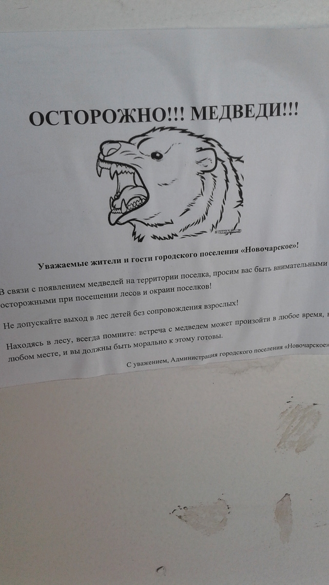 Дополнительные эмоции жителям Новой Чары к Новому Году