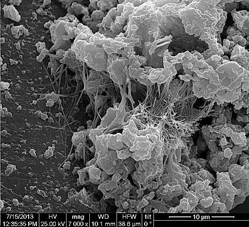 "Здоровый" бетон под микроскопом