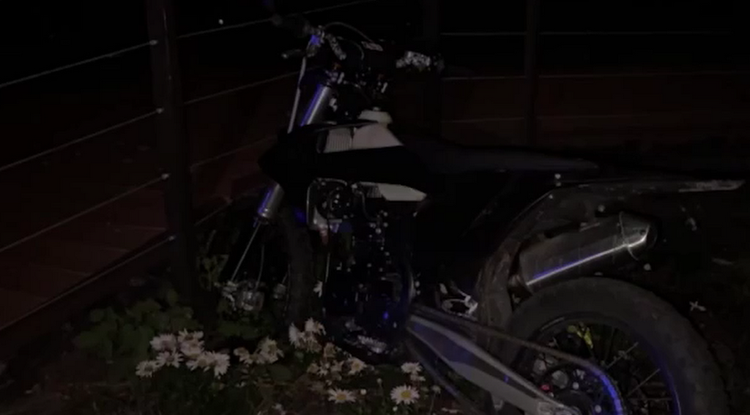 Фото: t.me/gibdd_31