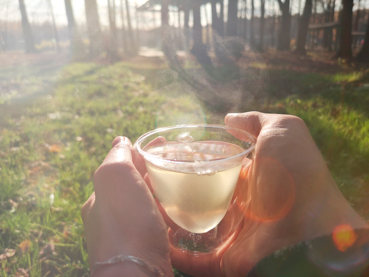 Фото: Вечерний Санкт-Петербург