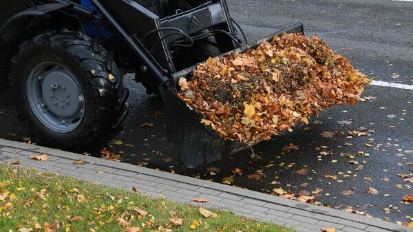    © Sputnik / Виктор Толочко