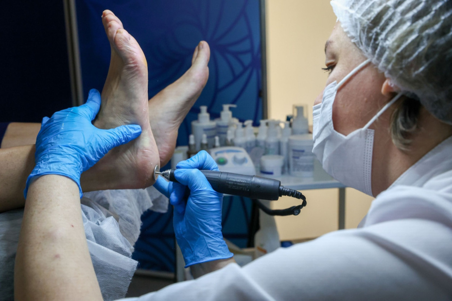    Наталья Шатохина/NEWS.ru