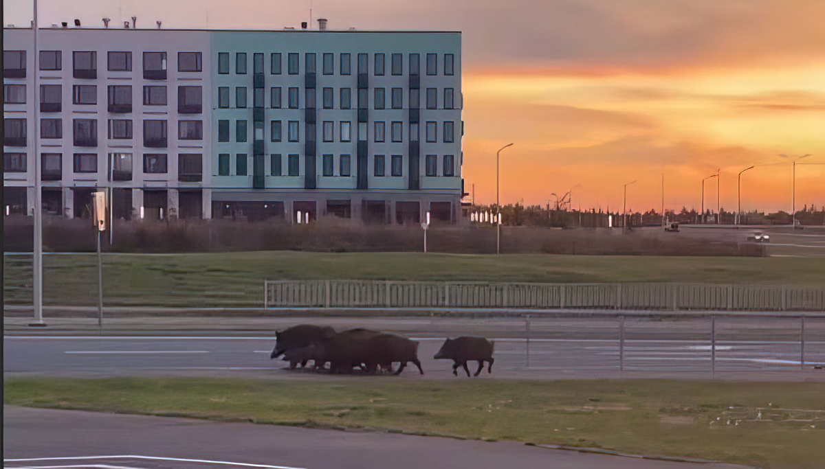 Фото: соцсети