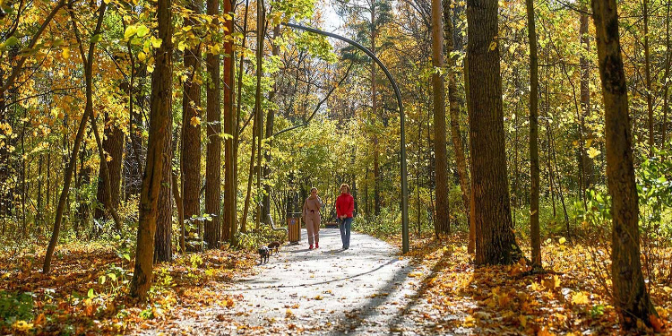    Фото: Е. Самарин, mos.ru