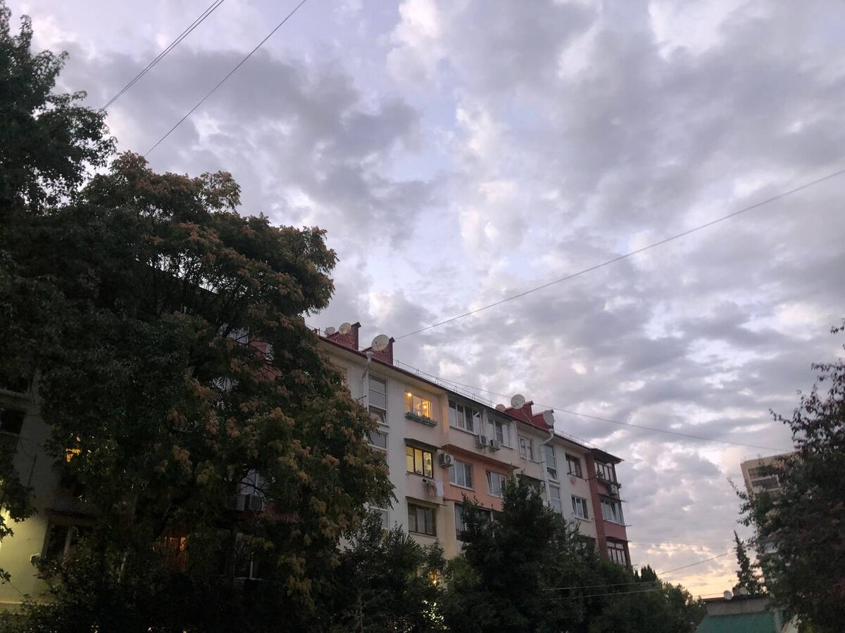    Фото: Сочи24 (Лидия Виленская)