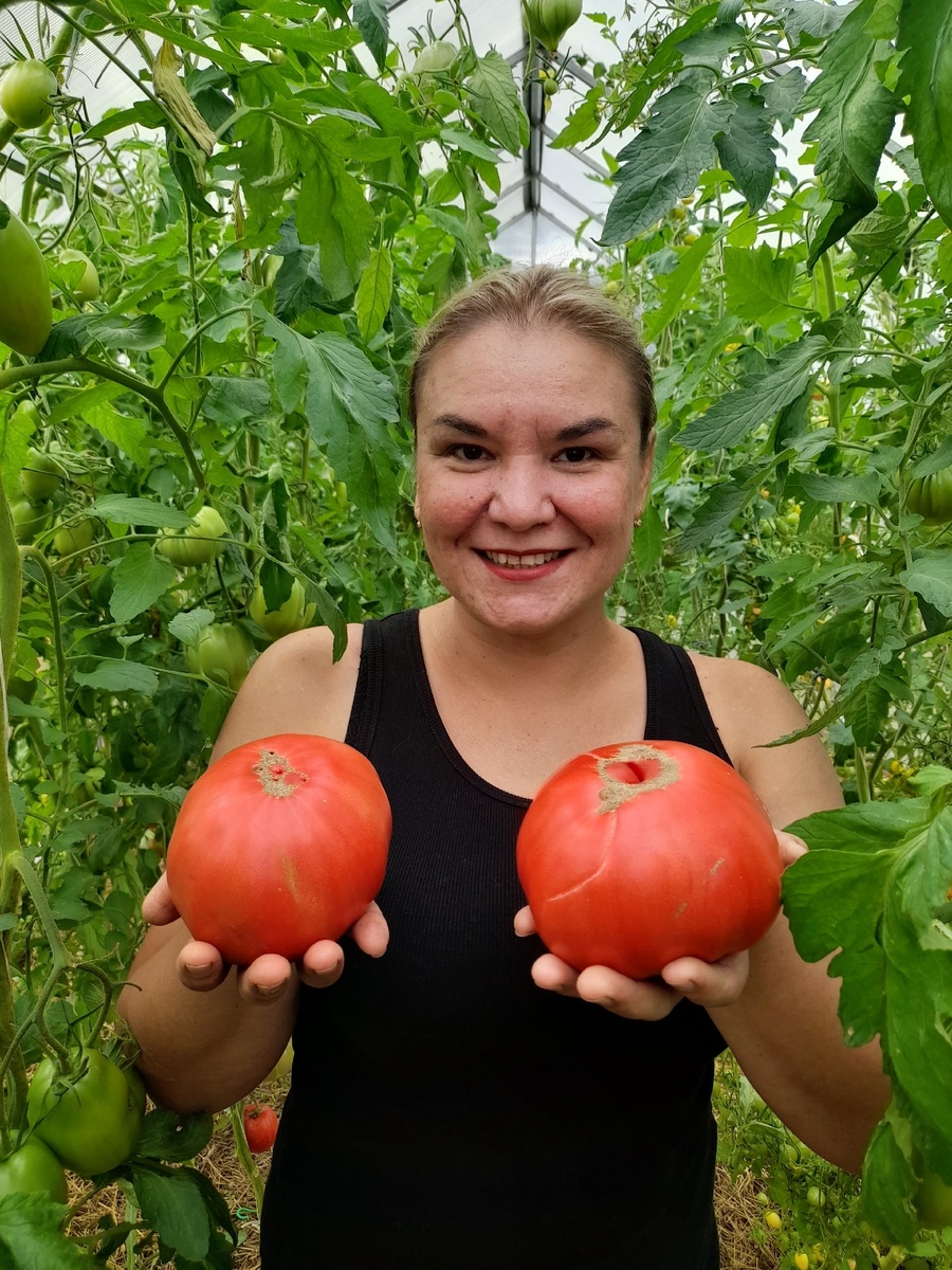 Томат Бабушкин секрет фото 2025 года