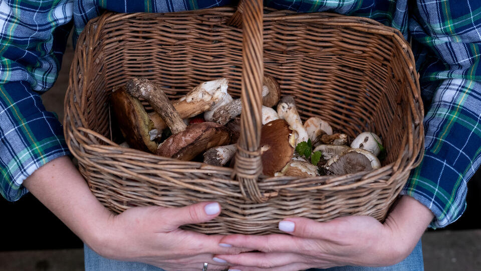 Фото: © ИЗВЕСТИЯ/Сергей Виноградов