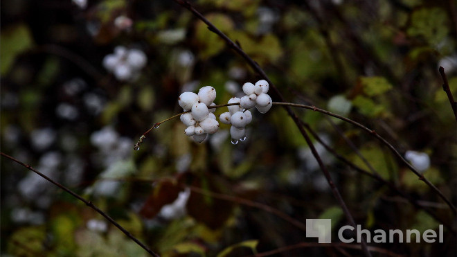 Фото: Анастасия Илюшина/47channel, архив