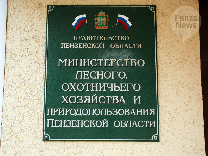    © Фото из архива ИА «PenzaNews»