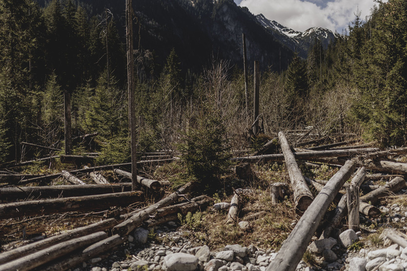 Фото: Florian Gaertner / Photothek Media Lab / Global Look Press