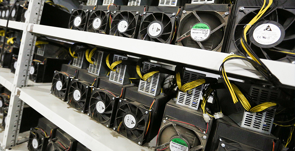    Фото: Зыков Кирилл/Агентство «Москва»