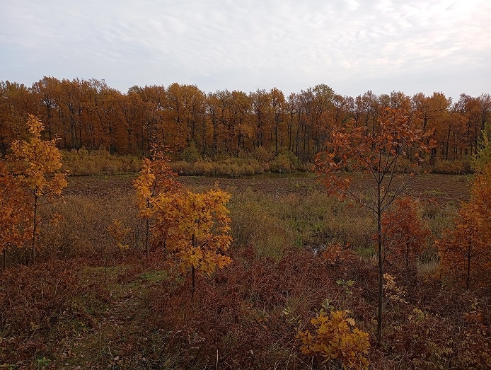 Нижний Новгород, 8 октября 2025