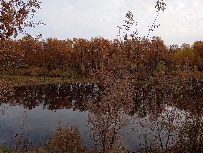 Нижний Новгород, 8 октября 2025