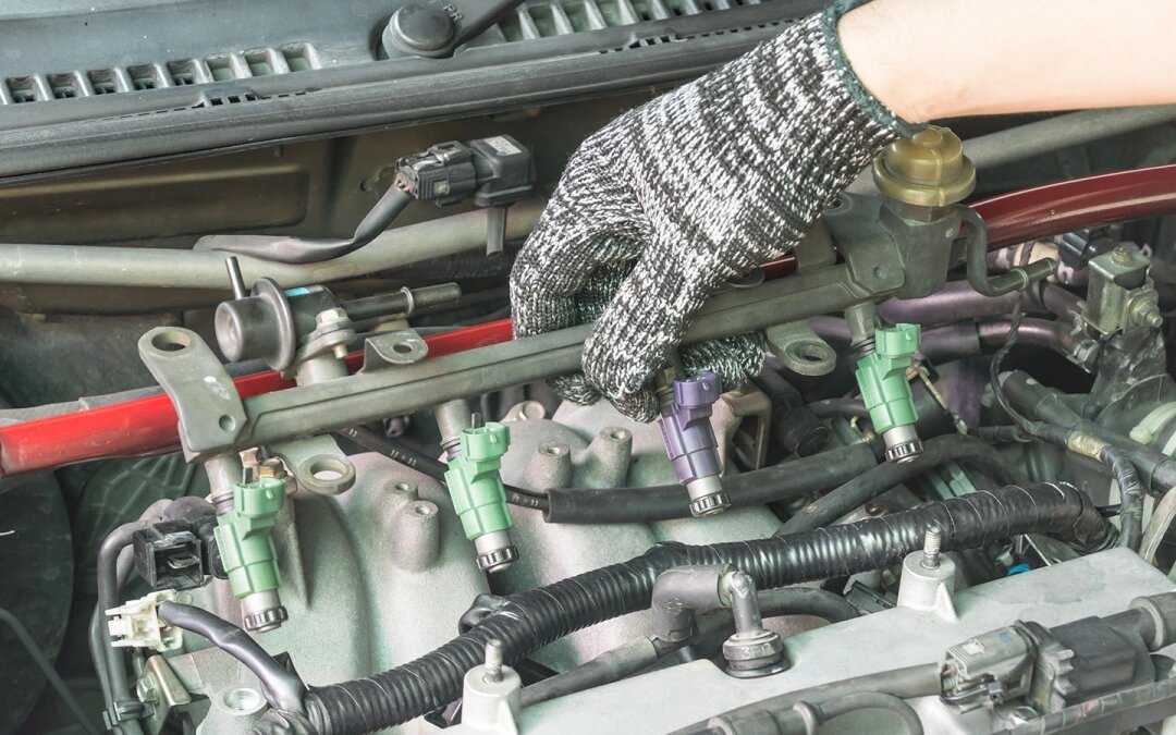 Фото: Shutterstock