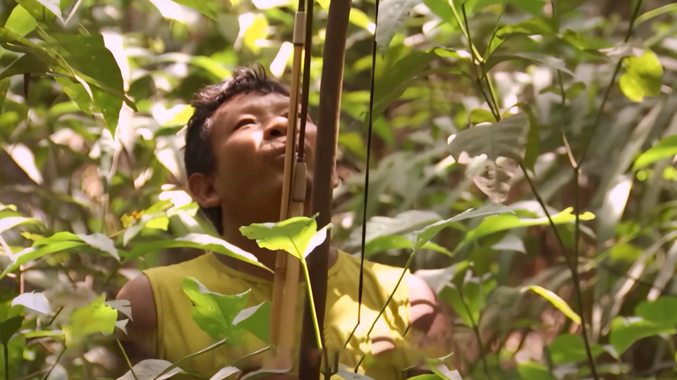 ФОТО: Кадр из программы "Тайны Чапман", РЕН ТВ