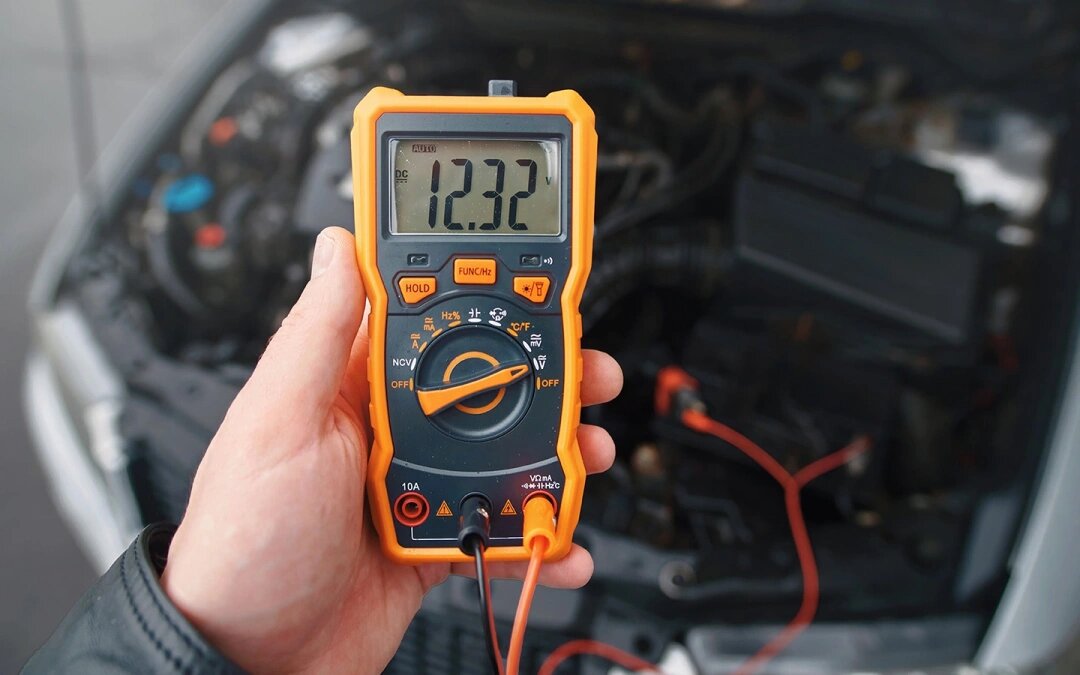 Фото: Shutterstock