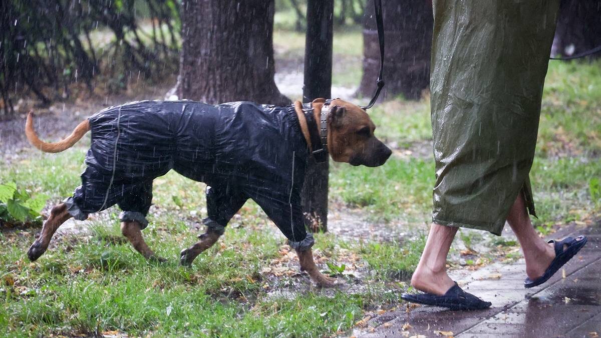    Фото: Ярослав Чингаев / АГН Москва