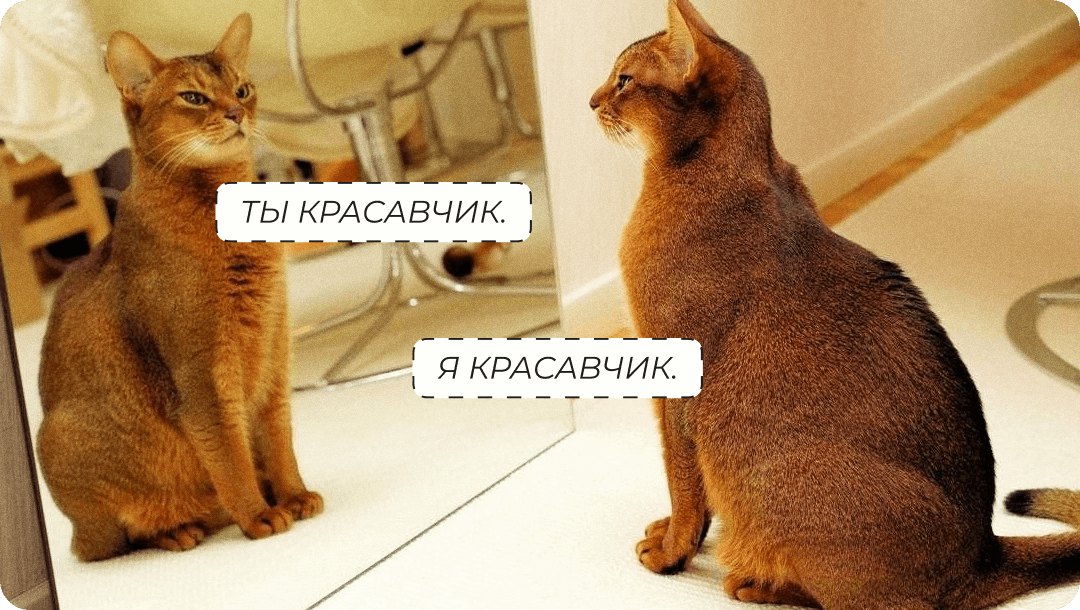 немного юмора для поднятия настроения))