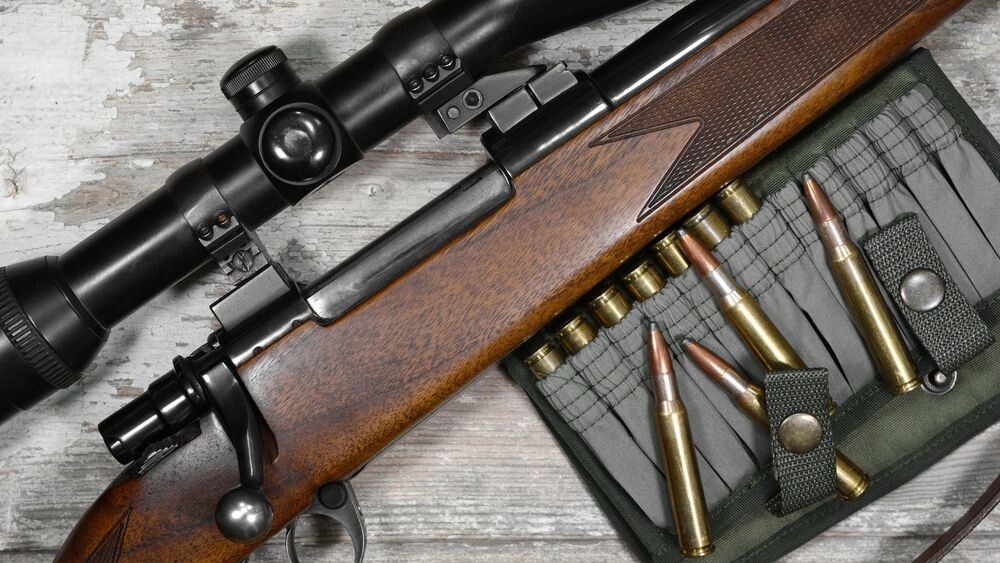    Фото: milart/Shutterstock/Fotodom