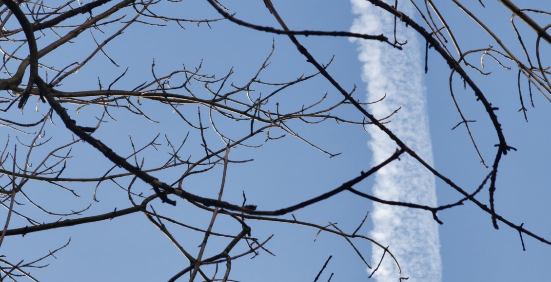    Фото: НИА "Экология"