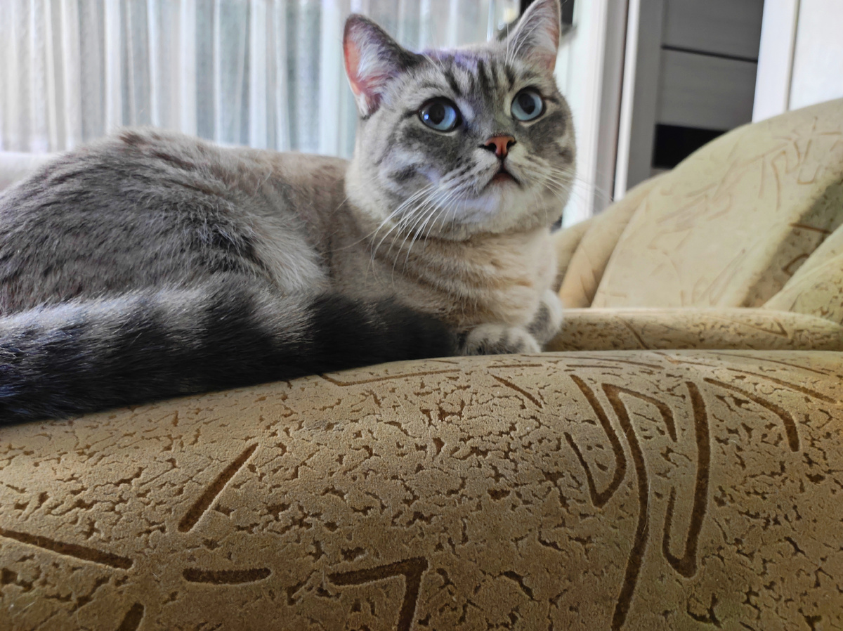 Фото автора 