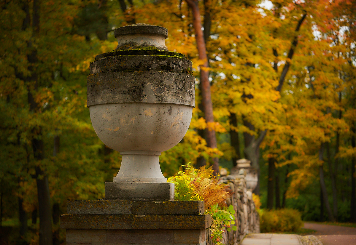 парк Александрия 