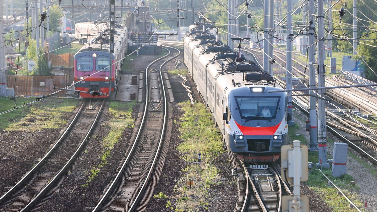    Фото: Belkin Alexey/globallookpress.com