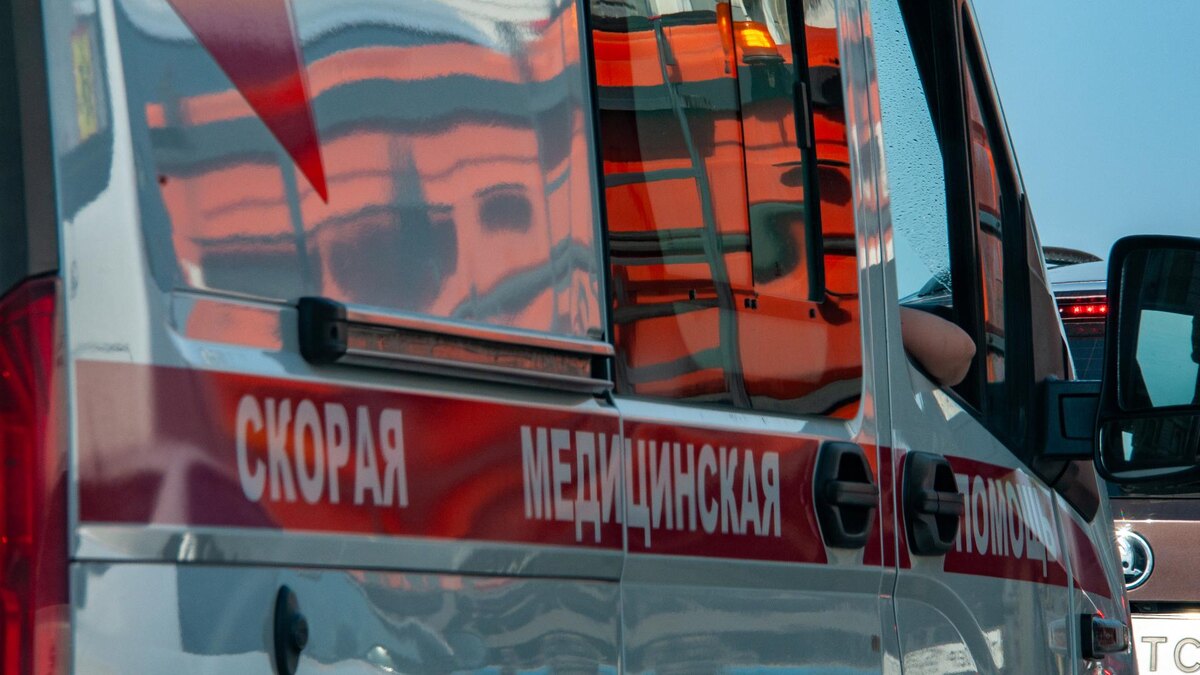    Фото: Svetlana Vozmilova/globallookpress.com