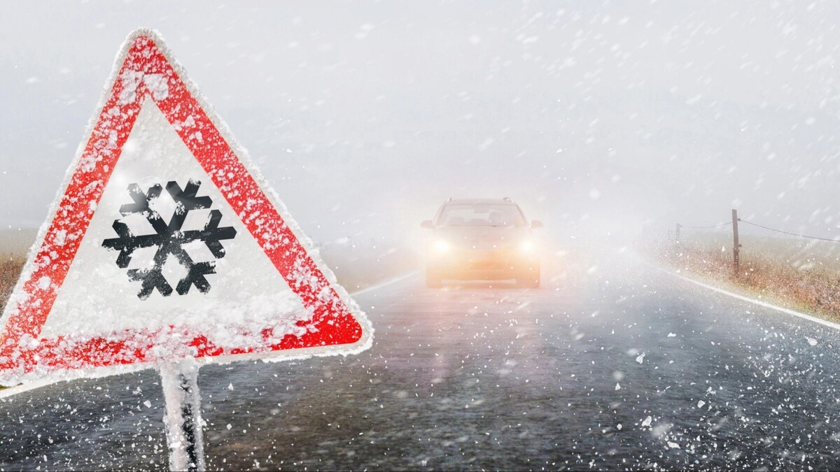    Фото: Igor Link / Shutterstock / Fotodom