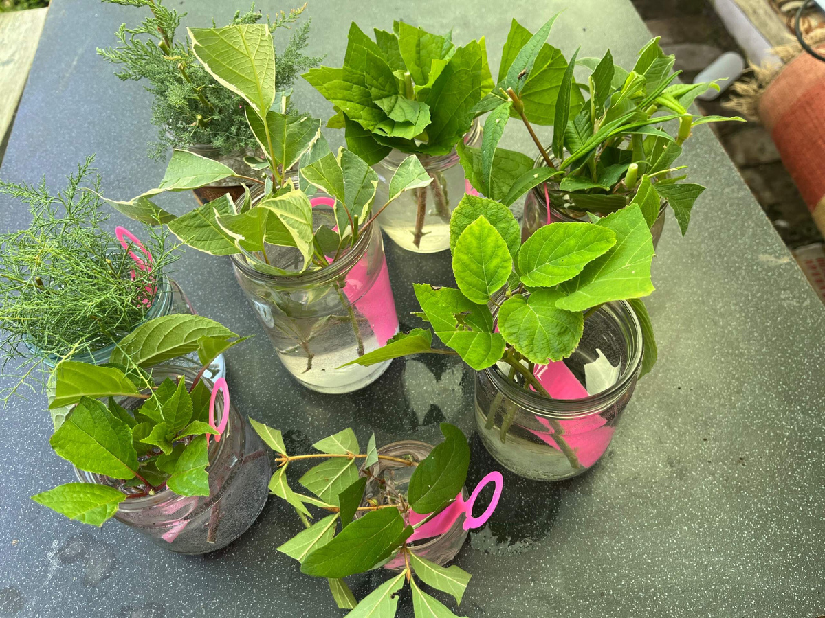 Столько всякого разного начеренковала