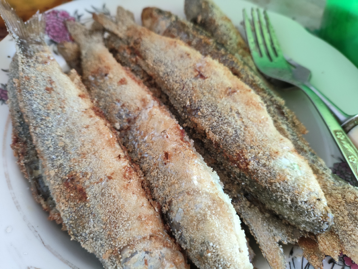 Первая партия