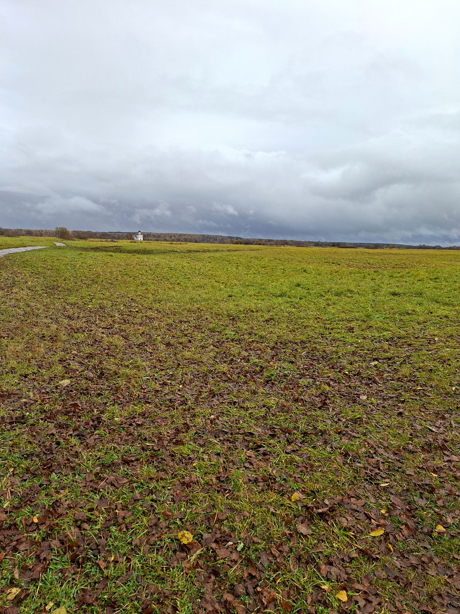 Иногда, чтобы настичь мечту, нужно всего лишь пройти по заливному лугу