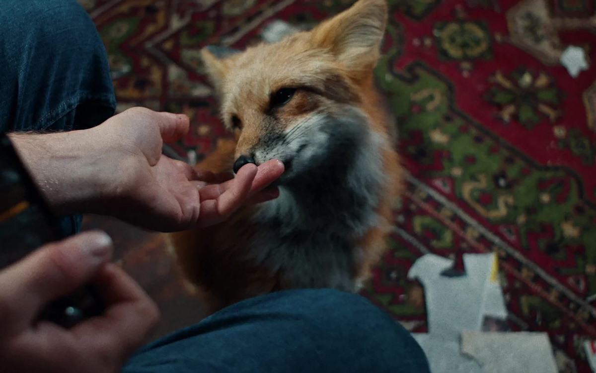 Кадр из сериала «Как приручить лису», реж. Юлиана Закревская, 2025