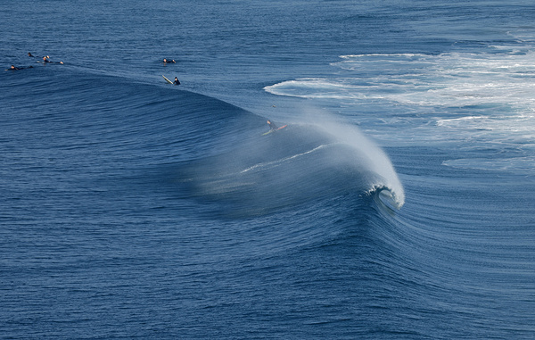 Kevin Carter/Getty Images
