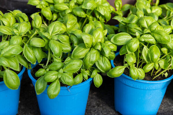 Sonja Jordan/Global Look Press 