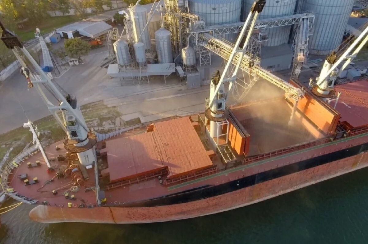    Донской регион вошел в число лидеров по агроэкспорту