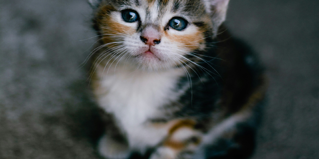 Нам надо серьезно поговорить