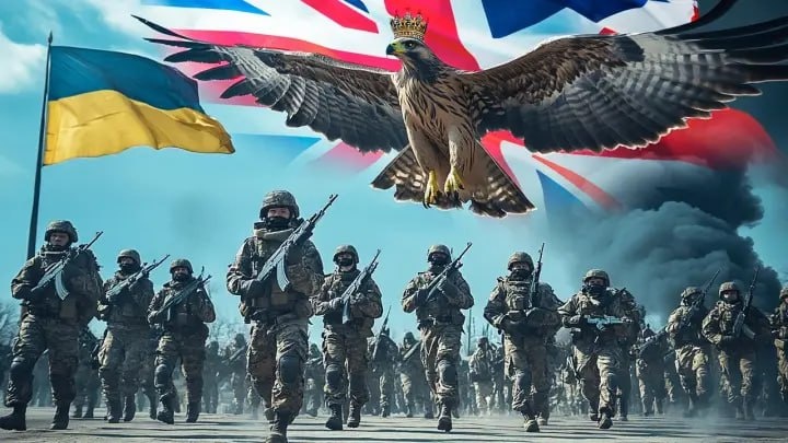 Коллаж Novorosinform