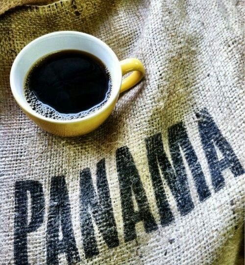 Панама и кофе: где найти лучший и чем отличается местная арабика